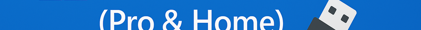 Windows 11 Pro-Home installation