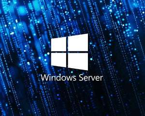 Windows Server License