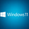 Microsoft-Windows-11