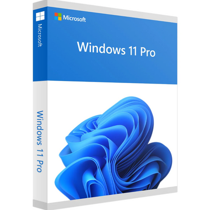 Windows 11 Pro - OEM License Key