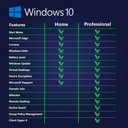 Windows 10 Pro - OEM License Key